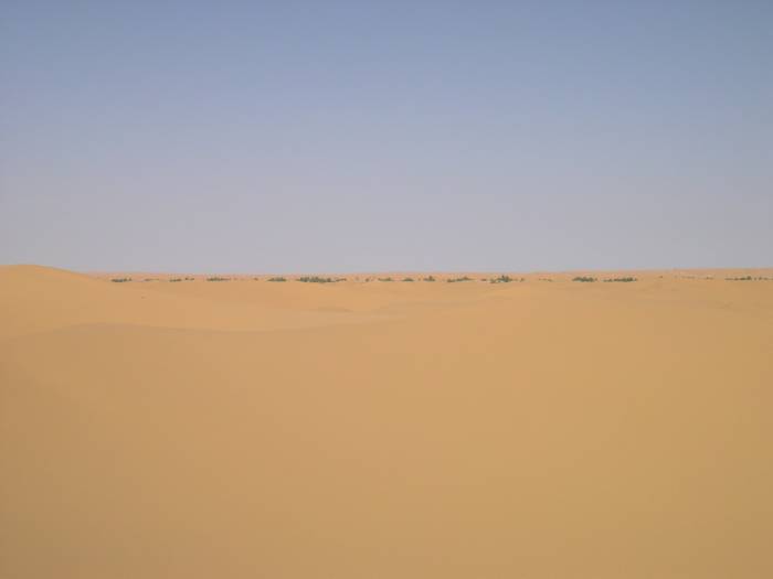 Oasis Oasis, c'est bon c'est bon !!