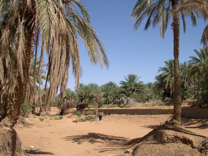 Dans l'oued, un peu a sec d'ailleurs.