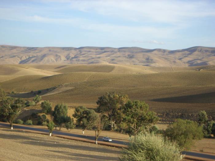 Qque part entre Oran et Blida