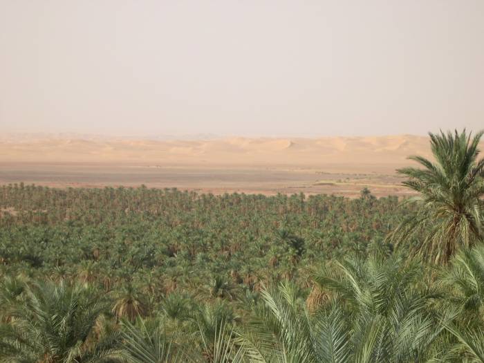 Palmeraie et Grand Erg au fond, vue de fou !!