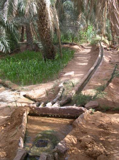 Irrigation par peigne