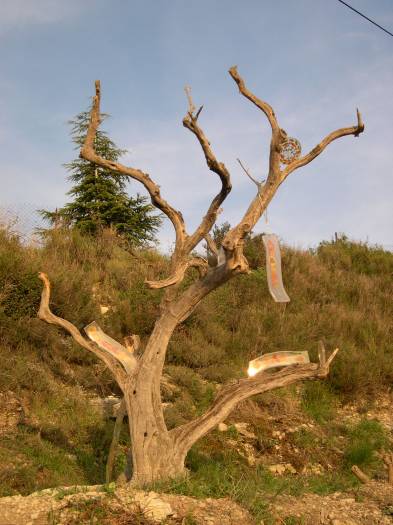 L'art dans la nature