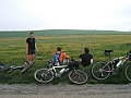 le bonheur est dans le pré, plateau de Valensole.