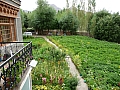 Guesthouse