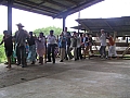 Danse traditionnelle