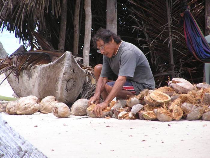 Le gardien des noix de coco