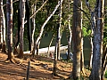 Baignade du matin