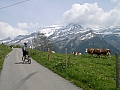 Johann demande sa route aux vaches (Diablerets au fond)