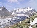 Le fameux glacier d'Aletsch !