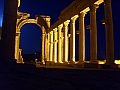 Palmyre by night by Jo